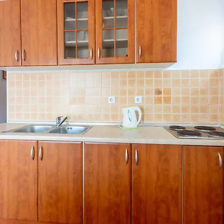 Max 茨里克韦尼察