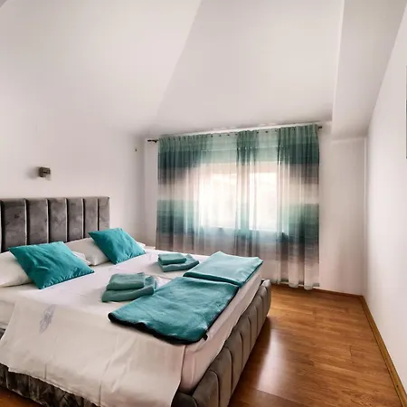 Max 茨里克韦尼察